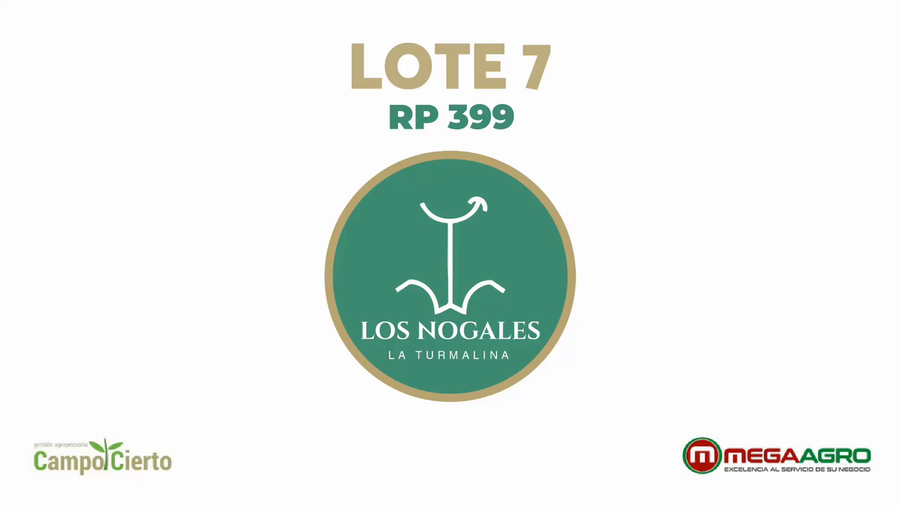 Lote LOS NOGALES