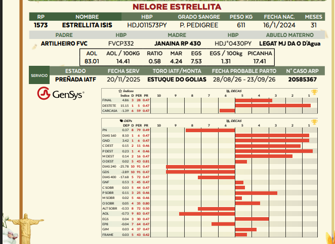 Lote LOTE 39