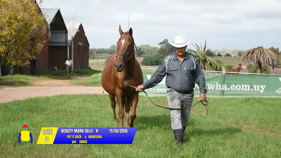 Lote BEAUTY MARK (Brz)