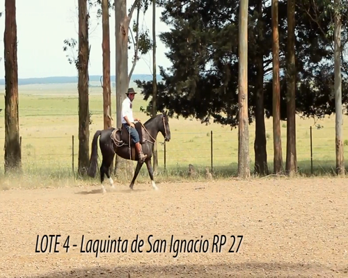 Lote LAQUINTA DE SAN IGNACIO