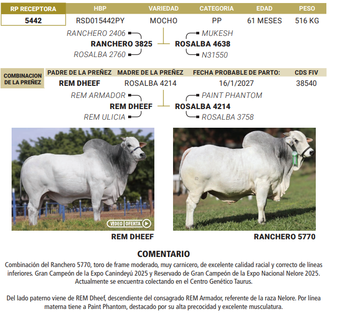 Lote LOTE 41