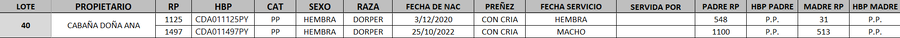 Lote LOTE 40 - DESTACADO