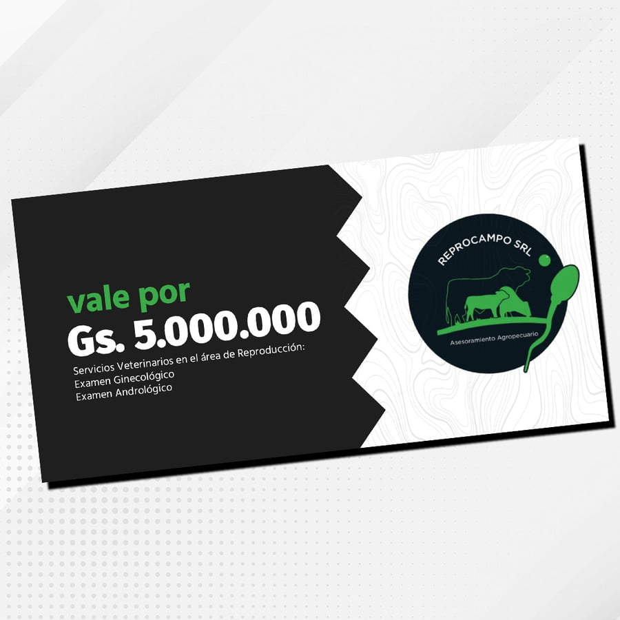 Lote SERVICIO VETERINARIO