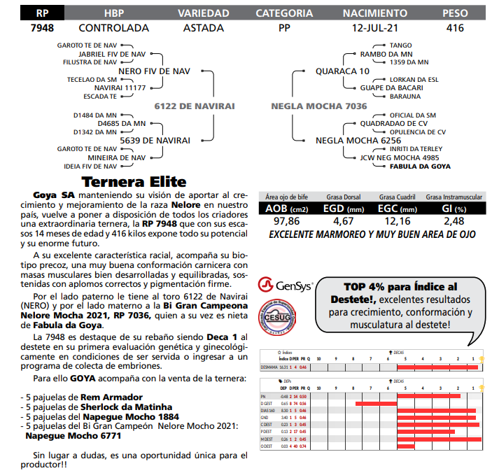 Lote LOTE DESTAQUE TERNERA ELITE