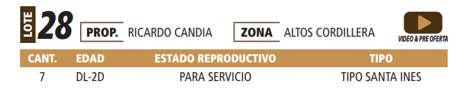 Lote LOTE 28 -POR PANTALLA