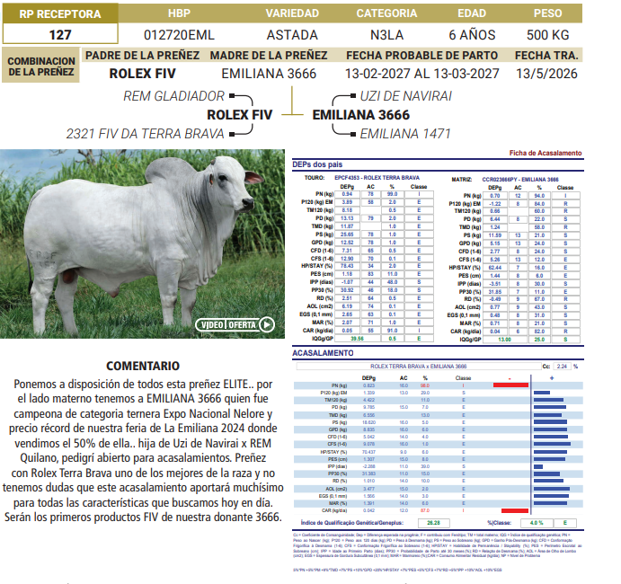 Lote LOTE 38