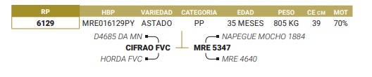Lote LOTE 79