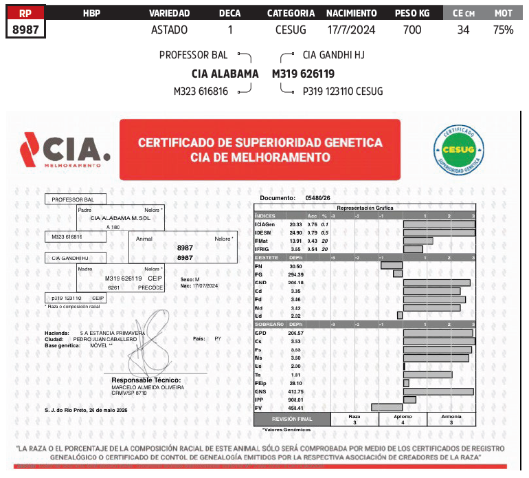 Lote LOTE 13