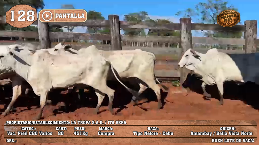 Lote LOTE 128 - PANTALLA