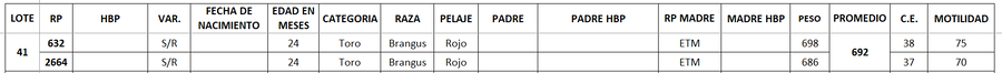 Lote LOTE 41