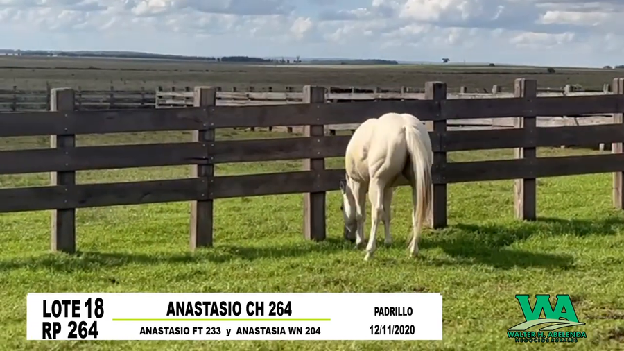 Lote ANASTASIO CH 264