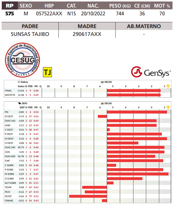 Lote LOTE 32