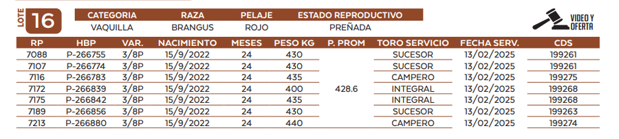 Lote LOTE 16