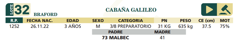 Lote LOTE 32
