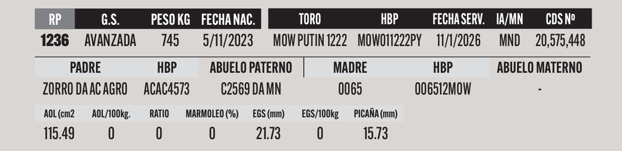 Lote LOTE 37