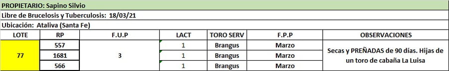 Lote Lote 77  Sapino Silvio