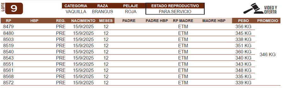 Lote LOTE 9