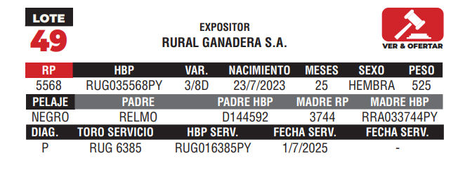 Lote LOTE 49 - CAMPO
