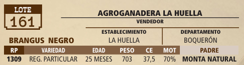 Lote LOTE 161 - VIVO