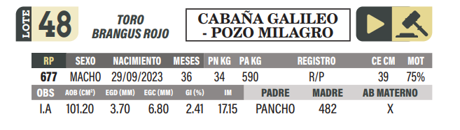 Lote LOTE 48