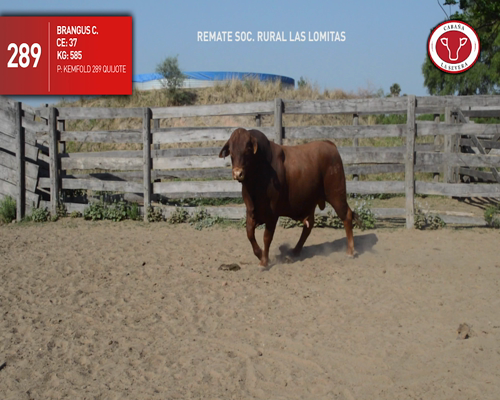 Lote CABAÑA "LA SEVERA" RP289