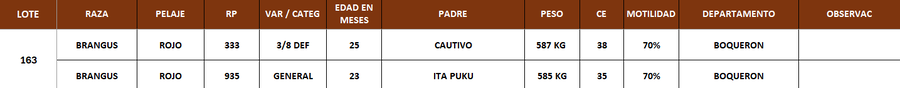 Lote LOTE 163