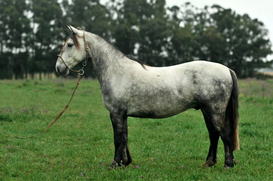 Lote RC Jurado (RP 71) Cabaña "La Cañada"