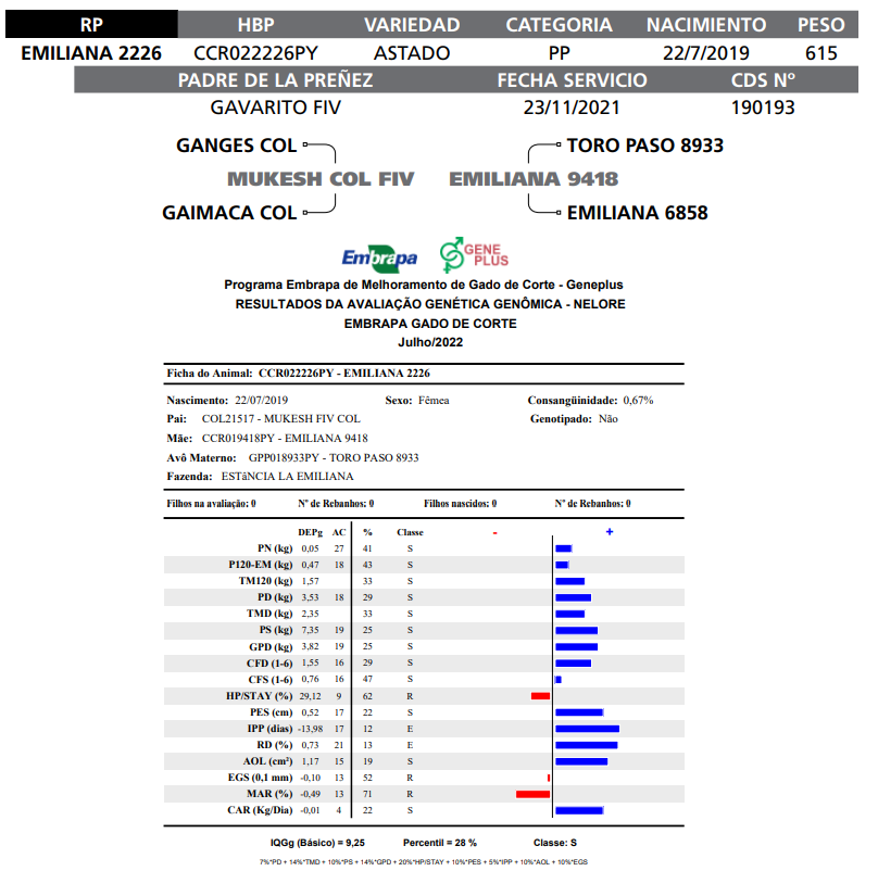 Lote LOTE 40 RP E 2226