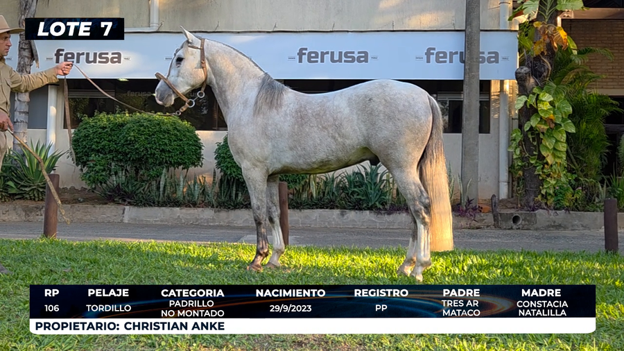 Lote LOTE 7- DE BOZAL