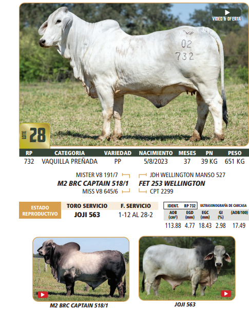 Lote LOTE 28