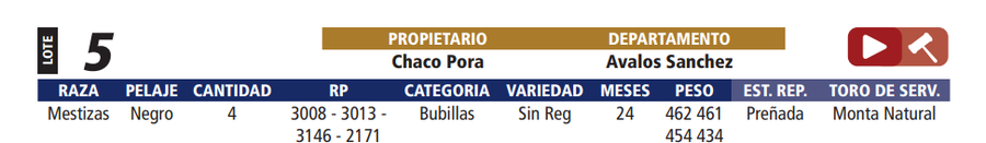 Lote LOTE 5