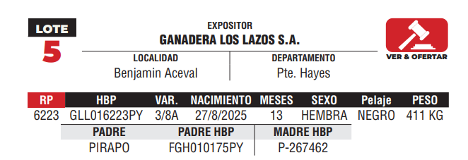Lote LOTE 5 -JUNIOR
