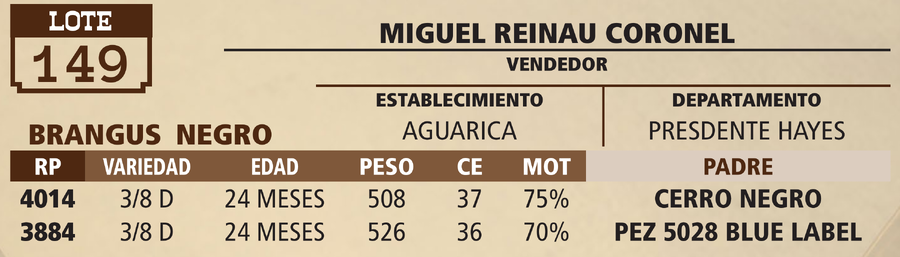 Lote LOTE 149 - PANTALLA