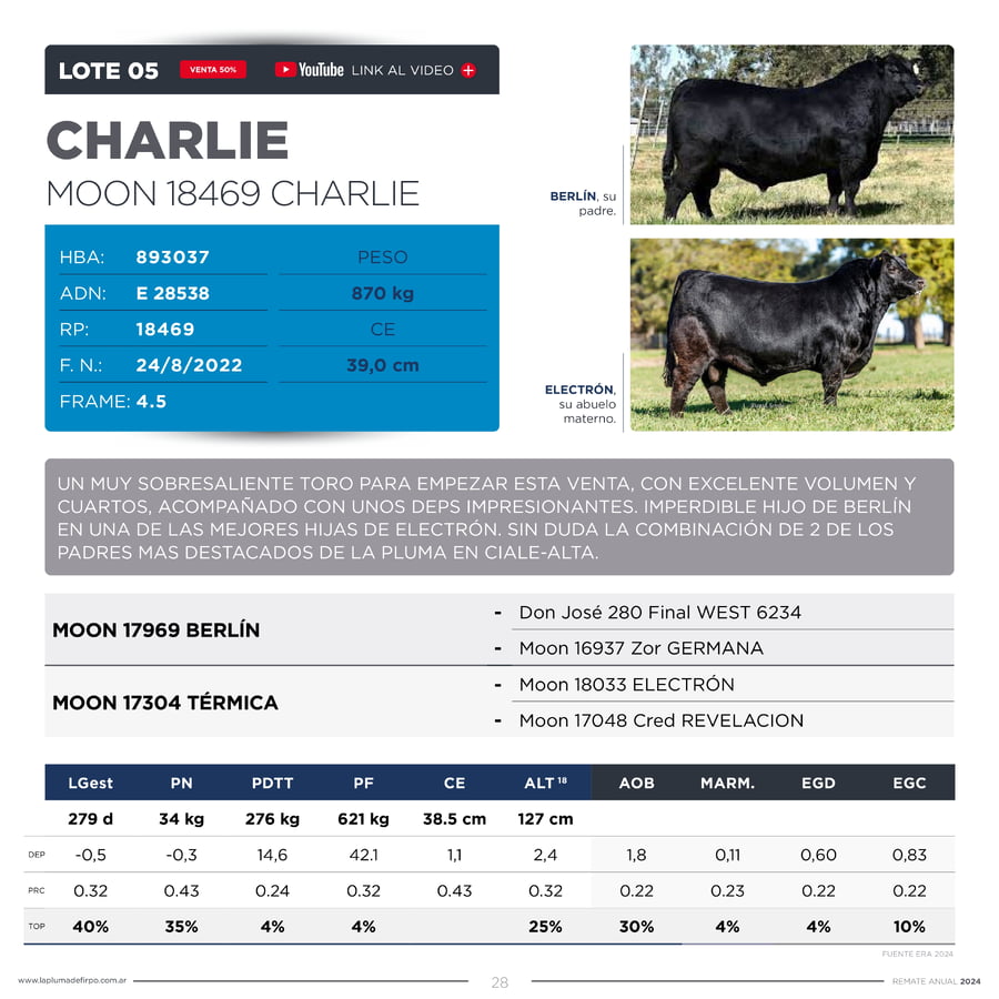 Lote TOROS PP DESTACADOS