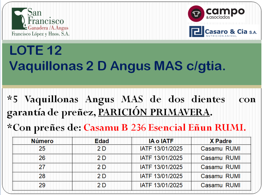 Lote 5 Vaquillonas Angus MaS con garantía de preñez, al parir. San Francisco