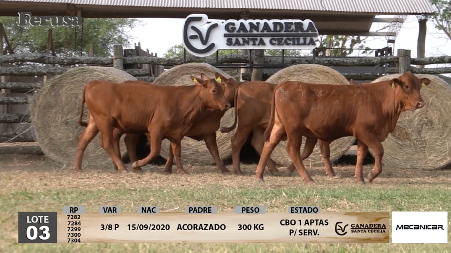 Lote Ganadera Santa Cecilia - Lote 3