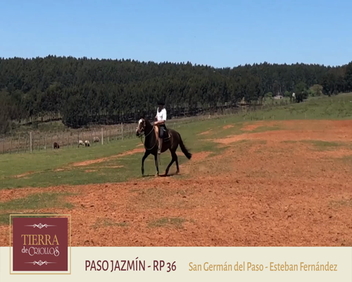 Lote Paso Jazmín (RP 36) - Cabaña San German del Paso