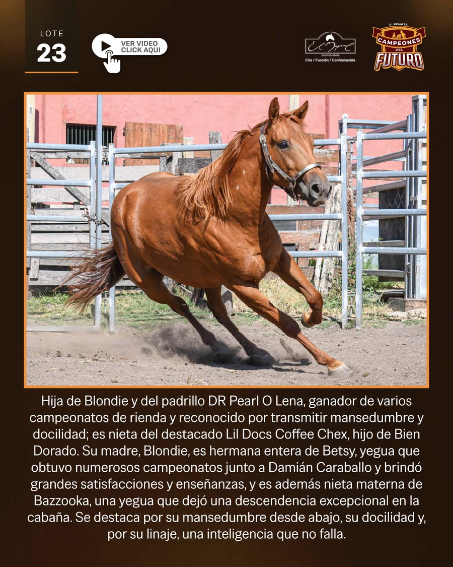 Lote VA SPRING PLAY PEPPY