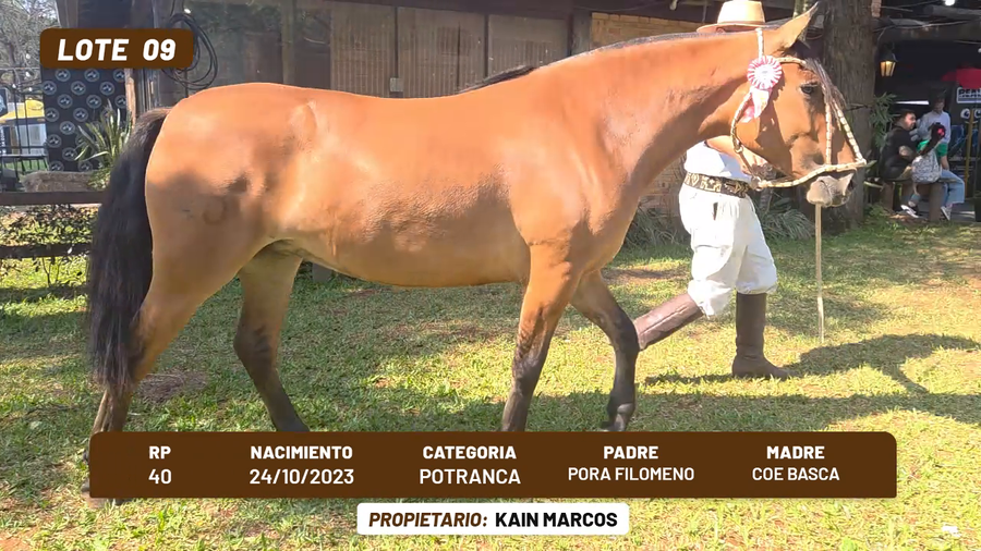 Lote LOTE 9