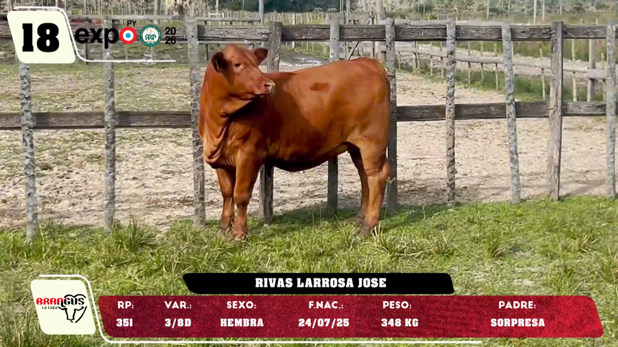 Lote LOTE 18