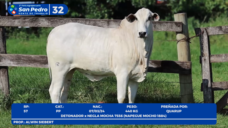 Lote LOTE 32