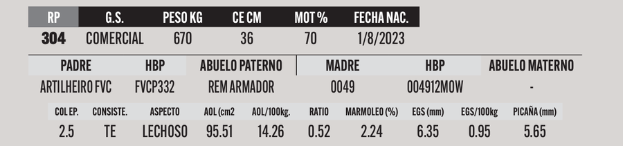 Lote LOTE 25
