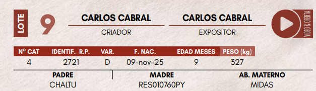 Lote LOTE 9 - TERNERAS DE CORRAL