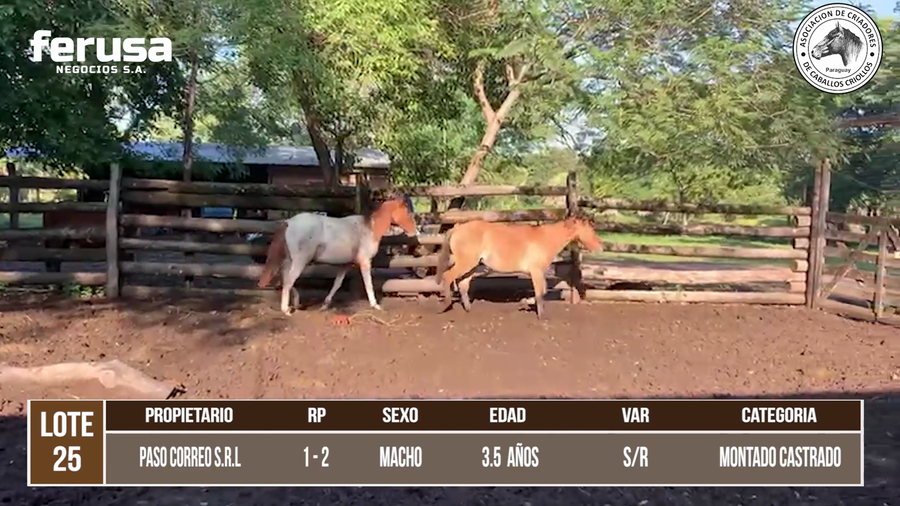 Lote LOTE 25 DE CAMPO