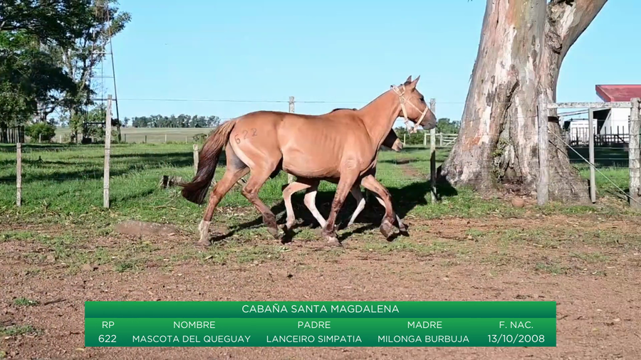 Lote Mascota del Queguay