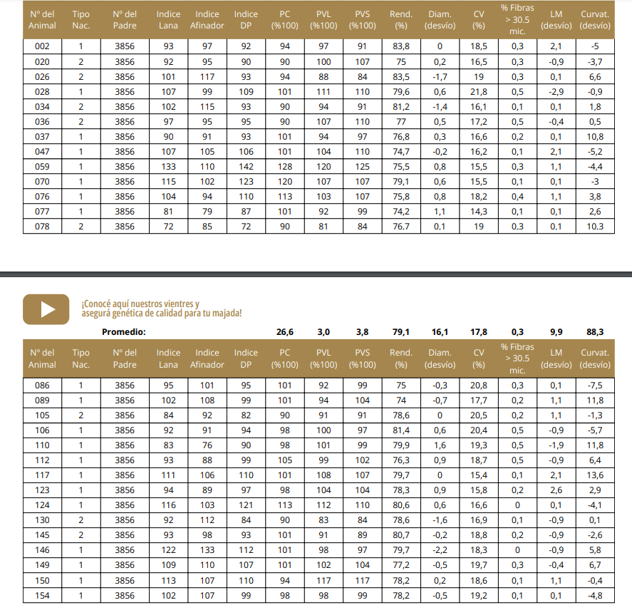 Lote Hembras seleccionadas