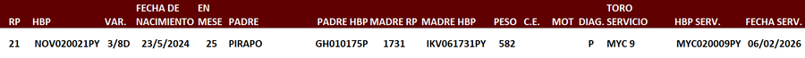Lote LOTE 43
