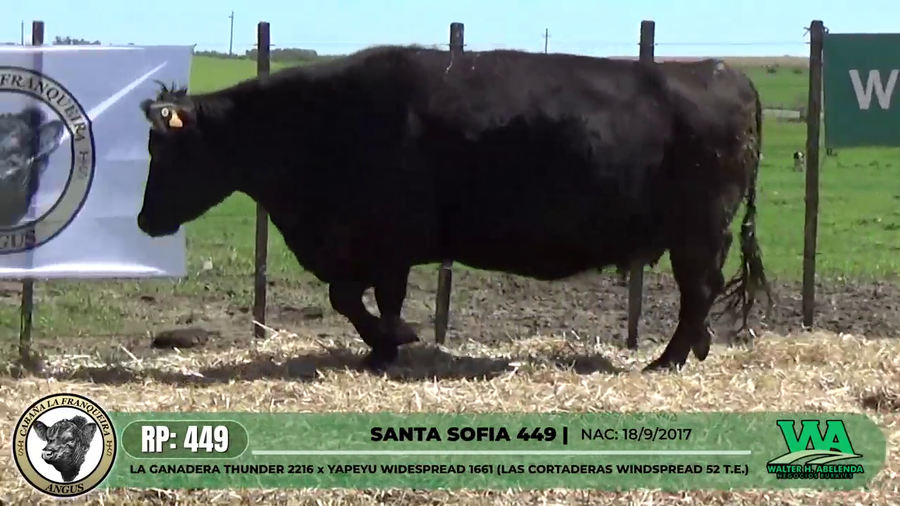 Lote SANTA SOFIA 449