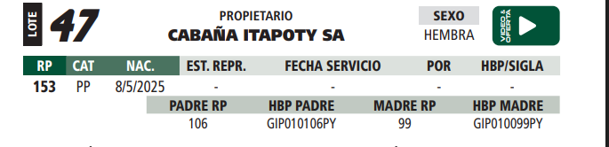 Lote LOTE 47
