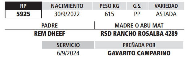 Lote LOTE 29